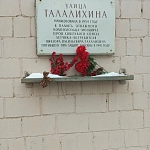 Памятник лётчику-истребителю В. В. Талалихину - 2
