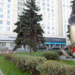 Памятник Герою Советского Союза Гастелло Николаю Францевичу - 6