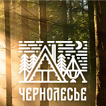 Глэмпинг «Чернолесье» - 4