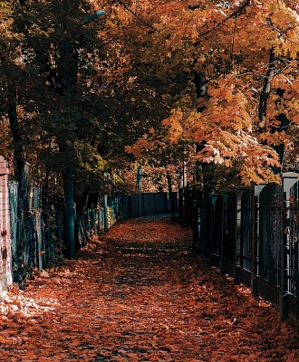 Поселок Соломенная Сторожка