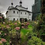 Храм Покрова Пресвятой Богородицы - 6