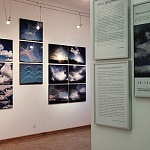 Krokin Gallery - 7