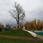 Памятник солдатам Отечества 20-го столетия - 1
