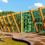 Отель WELNA Eco Spa resort - 5