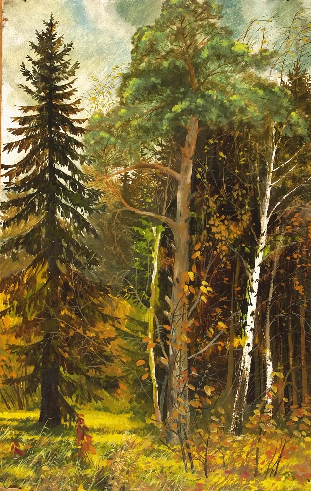 На Дорожной - 3