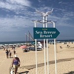 Отель Sea Breeze Resort - 5