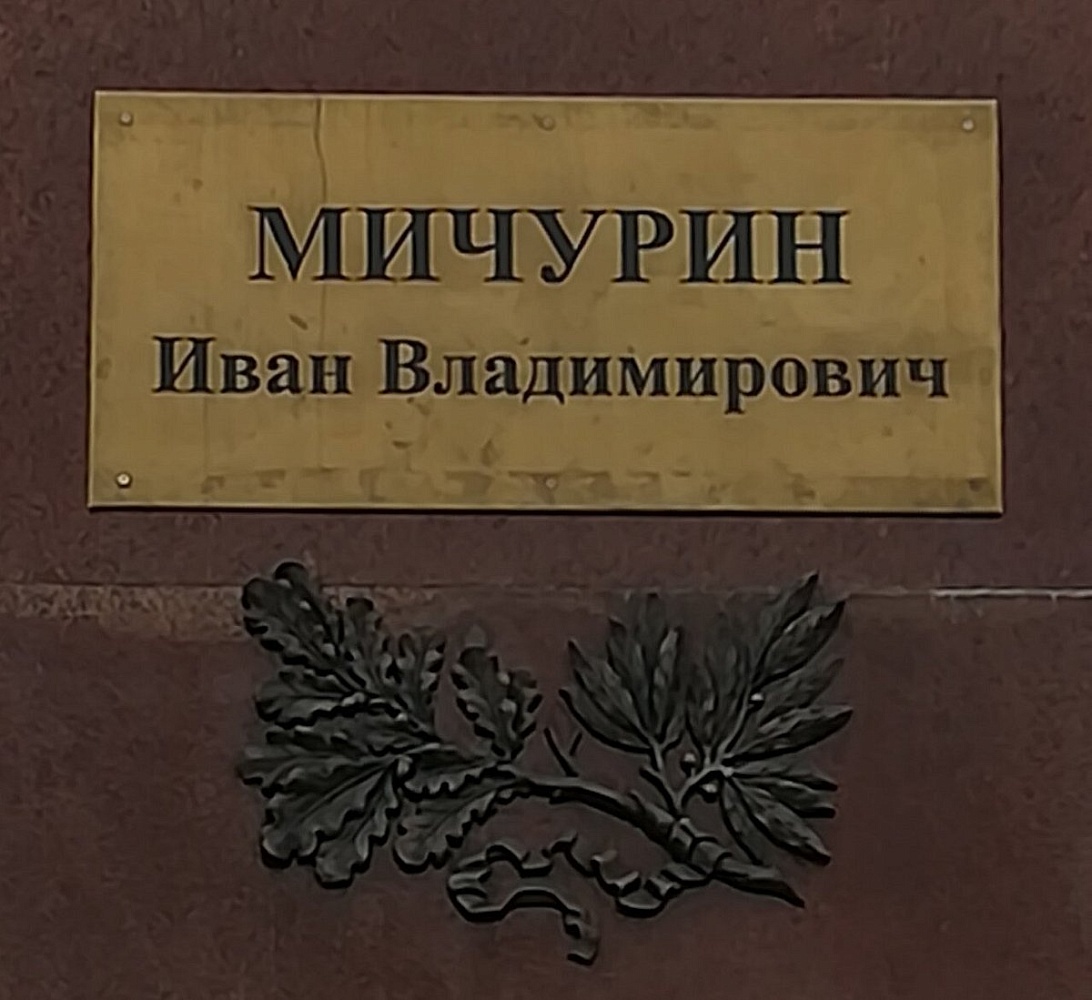 Памятник Мичурину на ВДНХ - 2