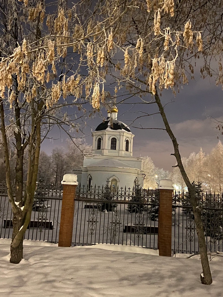Храм Рождества Пресвятой Богородицы в Капотне - 6