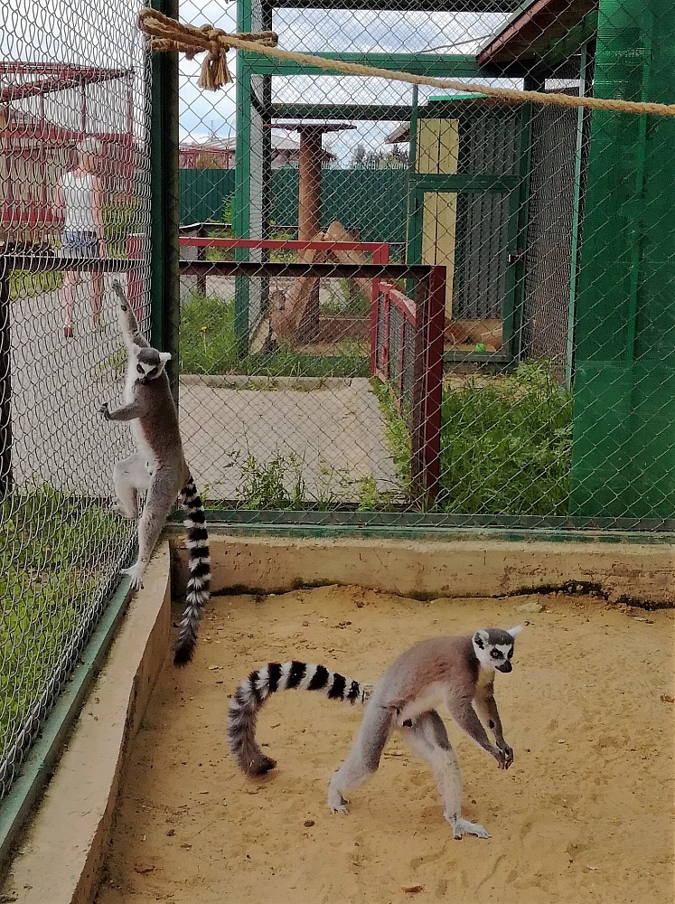 Зоопарк «Экзотик Парк» - 2