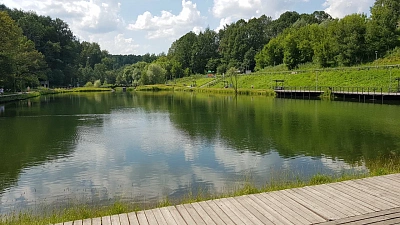 Новогорский лесопарк