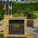 Отель Forrest Terrace - 1