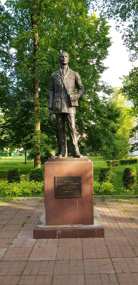 Памятник Н. И. Вавилову - 1