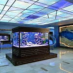 SPA-отель Ostrova - 1