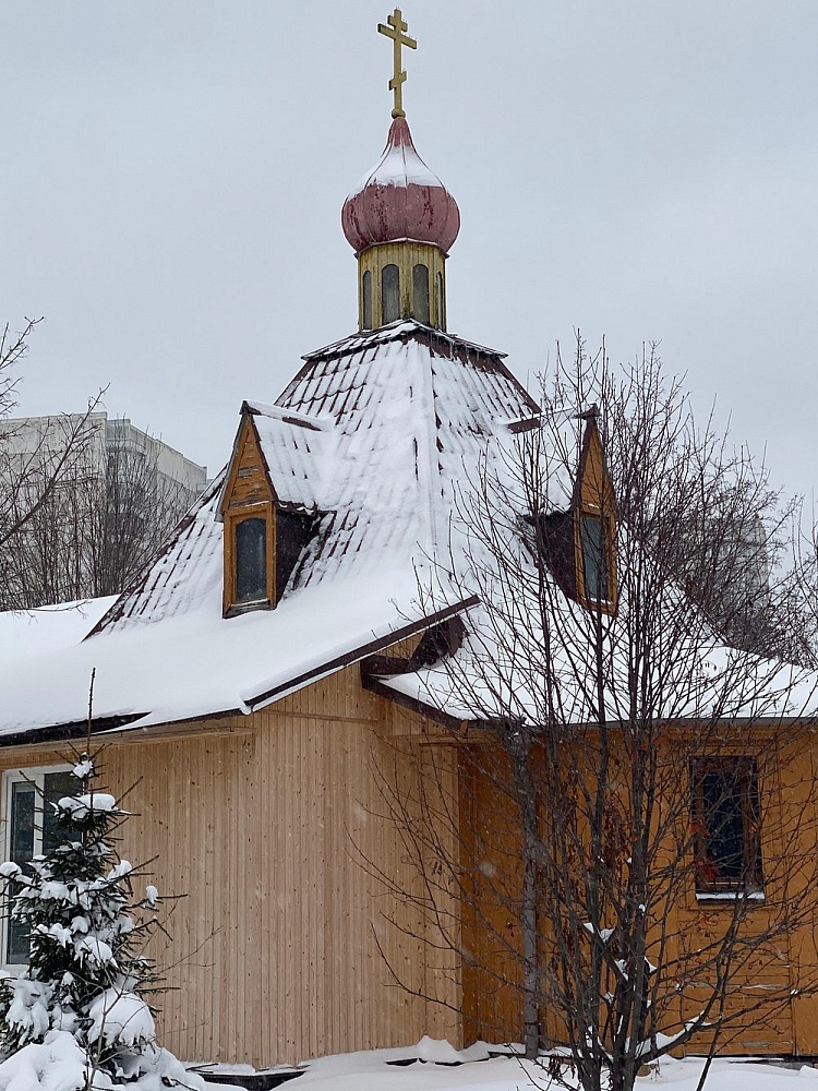 Храм Дмитрия Донского в Садовниках - 3