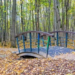 Кусковский лесопарк - 4