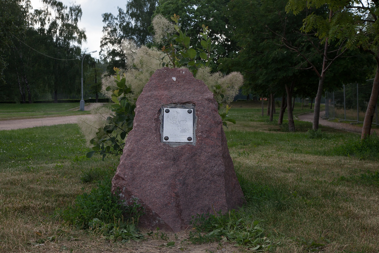 Аллея Алисы Селезнёвой - 1