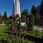 Обелиск в Память о Павших Студентах и Преподавателях МГУ в ВОВ - 1