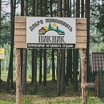 База отдыха «Пикник» - 4