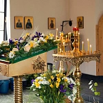Храм Святых Апостолов Петра и Павла в Тропарево - 6