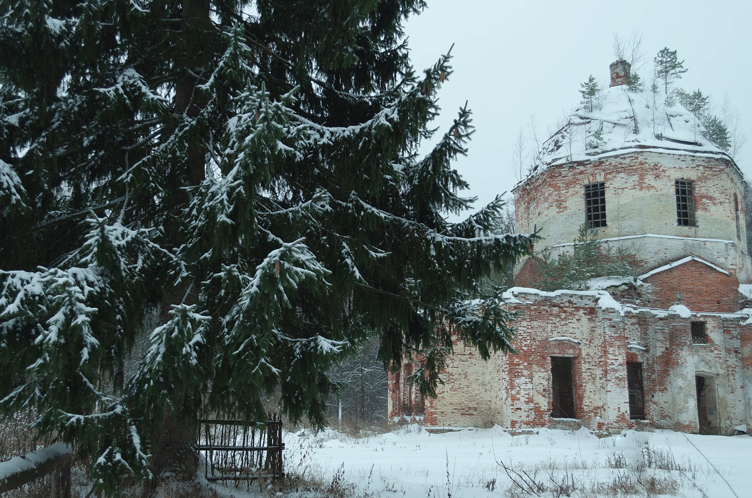 Церковь Рождества Христова в Илкодино - 1