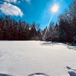 Глэмпинг «Чернолесье» - 6