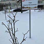 Обелиск в Память о Павших Студентах и Преподавателях МГУ в ВОВ - 3