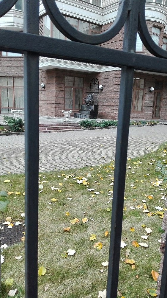 Памятник коту Василию - 3