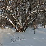 Домики «Хрум» - 1