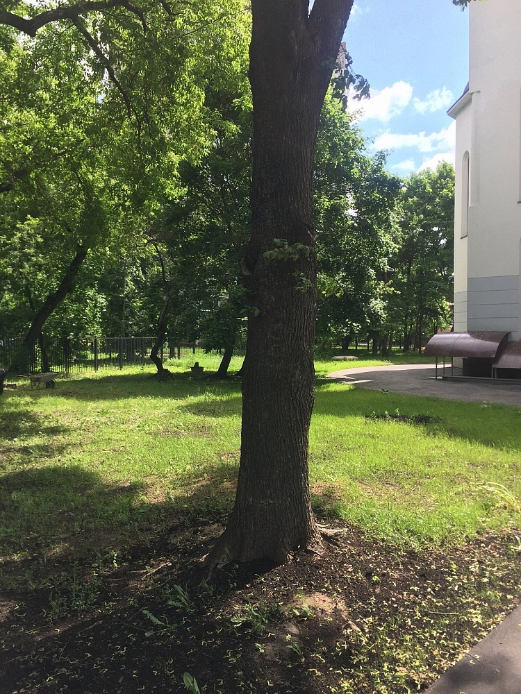 Введенский храм - 6