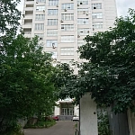 Лес - 7