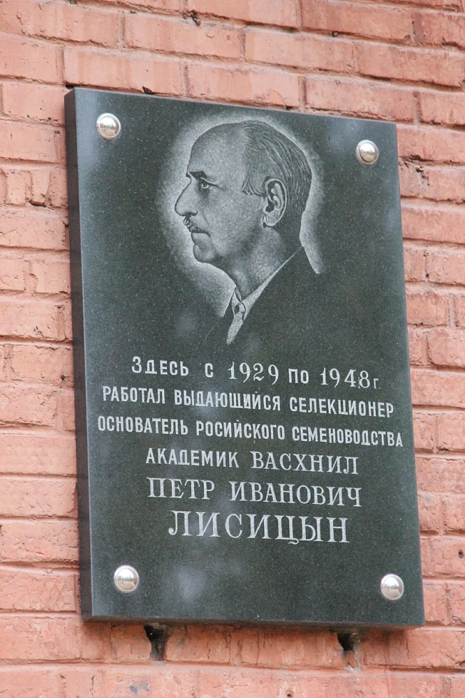 Памятник И. А. Стебут - 2