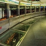 Останкинская телебашня - 6