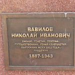 Памятник Н. И. Вавилову - 2