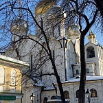 Собор Анны Праведной Зачатия в Зачатьевском монастыре - 7