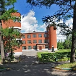 Памятник И. А. Стебут - 2