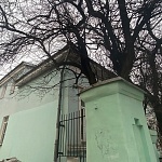 Особняк Е. М. Паутынской - 8