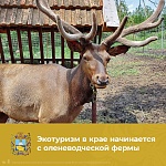 Домик хоббита на оленьей ферме Deer Farm - 4