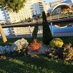 Отель Sochi gallery park - 3