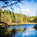 GREENVALD Парк Скандинавия - 1
