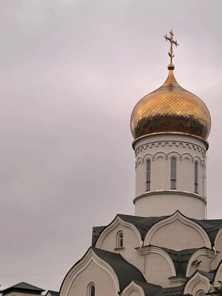 Храм Прп. Андрея Рублева - 2