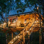 Дом на дереве «Лапочкино гнездо» - 4