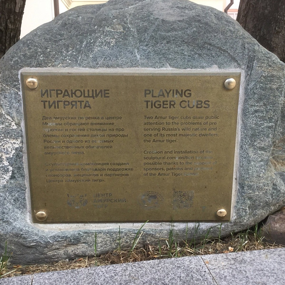 Памятник амурским тиграм - 4
