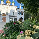 Собор Сретения Владимирской иконы Богоматери - 4