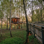 Дом на дереве «Лапочкино гнездо» - 1