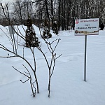 Обелиск в Память о Павших Студентах и Преподавателях МГУ в ВОВ - 7