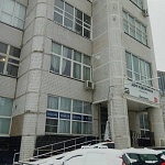 Лес - 2