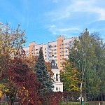 Храм Благовещения Пресвятой Богородицы в Федосьино - 3