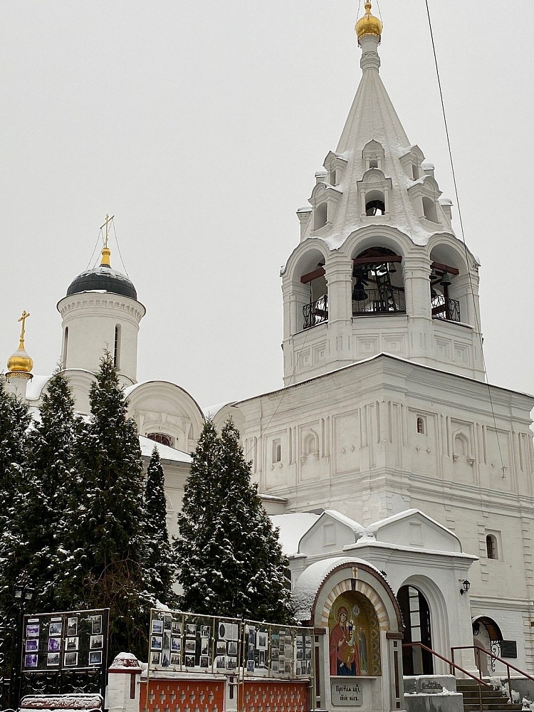 Храм Великомученика Никиты в Швивой горке - 2