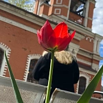Храм Рождества Пресвятой Богородицы во Владыкино - 5