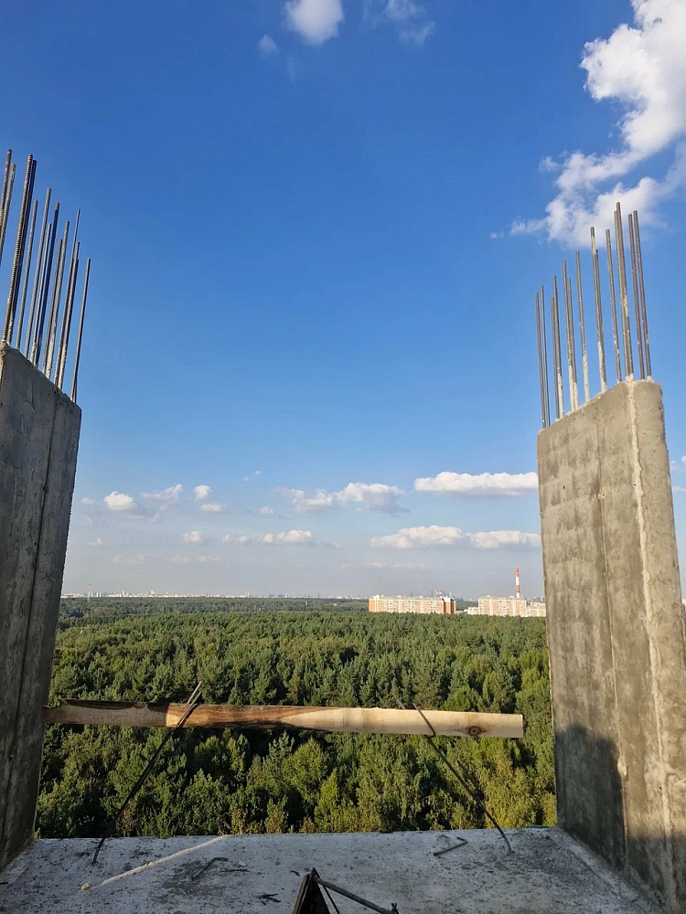 Чоботовский лес - 5